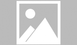 91的直播手机软件,畅享手机直播新体验，尽在掌握